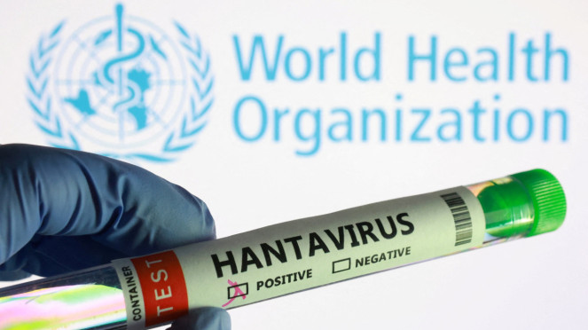 Ilustrasi hantavirus