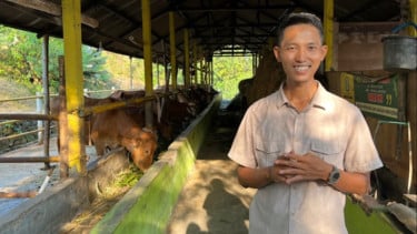 Ketua Koperasi Tani Ternak Literasi Sumbersari Tomi Distianto