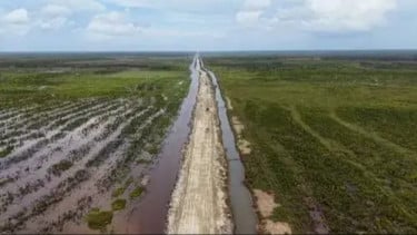 Program cetak sawah seluas 1 juta hektare di Wanam, Papua
