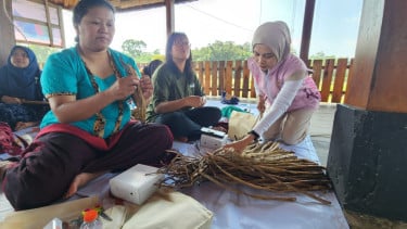 Desa binsaan PLN.