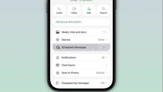 schedule message WhatsApp