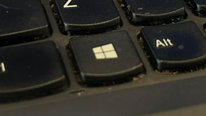 Ilustrasi Microsoft/Windows