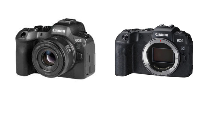 Canon EOS R6 Mark II dan Canon EOS RP, 1. Canon EOS R6 Mark II – Kamera Terbaik untuk Segala Kebutuhan, 2. Canon EOS R3 – Andalan Profesional Tanpa Kompromi, 3. Canon EOS 6D Mark II – Kamera Semi-Pro yang Tangguh, 4. Canon EOS R8 – Full-Frame Ringan untuk Pemula, 5. Canon EOS R50 V – Kamera Ringkas untuk Konten Kreator, 6. Canon EOS 5D Mark IV – DSLR Favorit yang Masih Tangguh, 7. Canon EOS R5 II – Juara Resolusi Tinggi, 8. Canon EOS RP – Kamera Mirrorless Terjangkau untuk Pemula