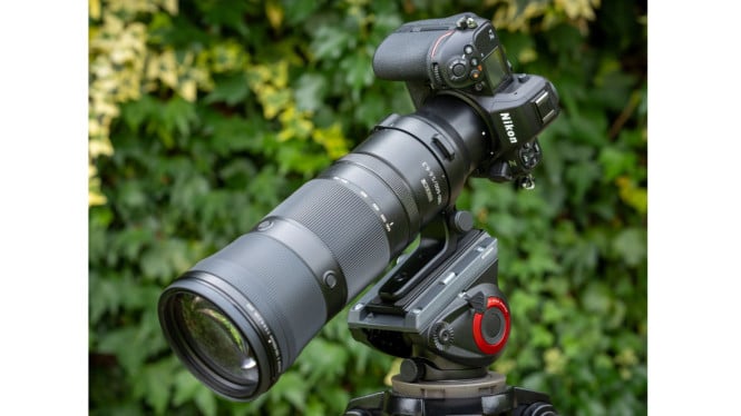 Pilihan Lensa Terbaik, 1. Sony FE 600mm F4 GM OSS – Ketajaman Ekstrem untuk Detail Maksimal, 2. NIKKOR Z 180-600mm f5.6-6.3 VR – Lensa Serbaguna untuk Pengguna Nikon, 3. Sigma 150-600mm F5-6.3 DG DN OS – Kualitas Profesional dengan Harga Masuk Akal, 4. FUJINON XF200mmF2 R LM OIS WR – Andalan Tajam untuk Kamera Fujifilm, 5. Canon RF 400mm F2.8L IS USM – Lensa Premium dengan Hasil Super Tajam