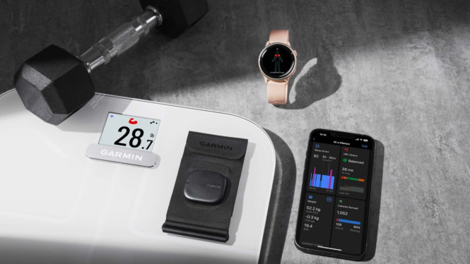 Garmin Index Sleep Monitor.