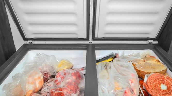 Ilustrasi Freezer