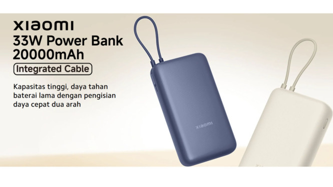 Xiaomi 33W Power Bank 20000mAh, Produk yang Terdampak Recall, Alasan Recall, Risiko bagi Pengguna, Langkah yang Harus Dilakukan Konsumen, Tanggapan dan Komitmen Xiaomi, Dampak Recall terhadap Reputasi