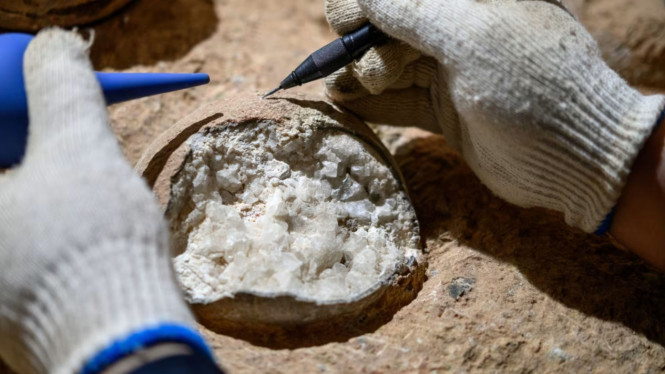Misteri Telur Dinosaurus di China Terkuak, Teknik U-Pb, ‘Jam Atom’ Penentu Usia Fosil, Telur Dinosaurus yang Masih Utuh, Lebih Akurat daripada Metode Umum, Menyingkap Dunia Dinosaurus