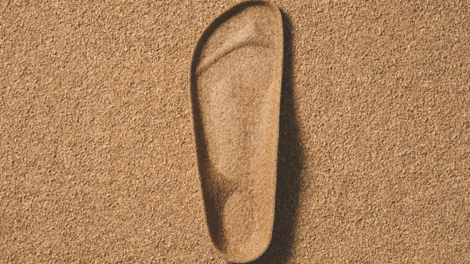 Footbed Ecosystem.