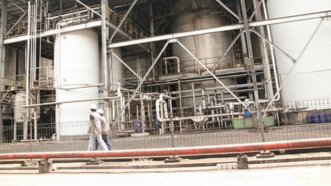 PT Energi Agro Nusantara atau Enero.