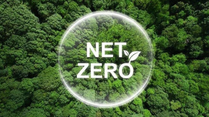 Net Zero