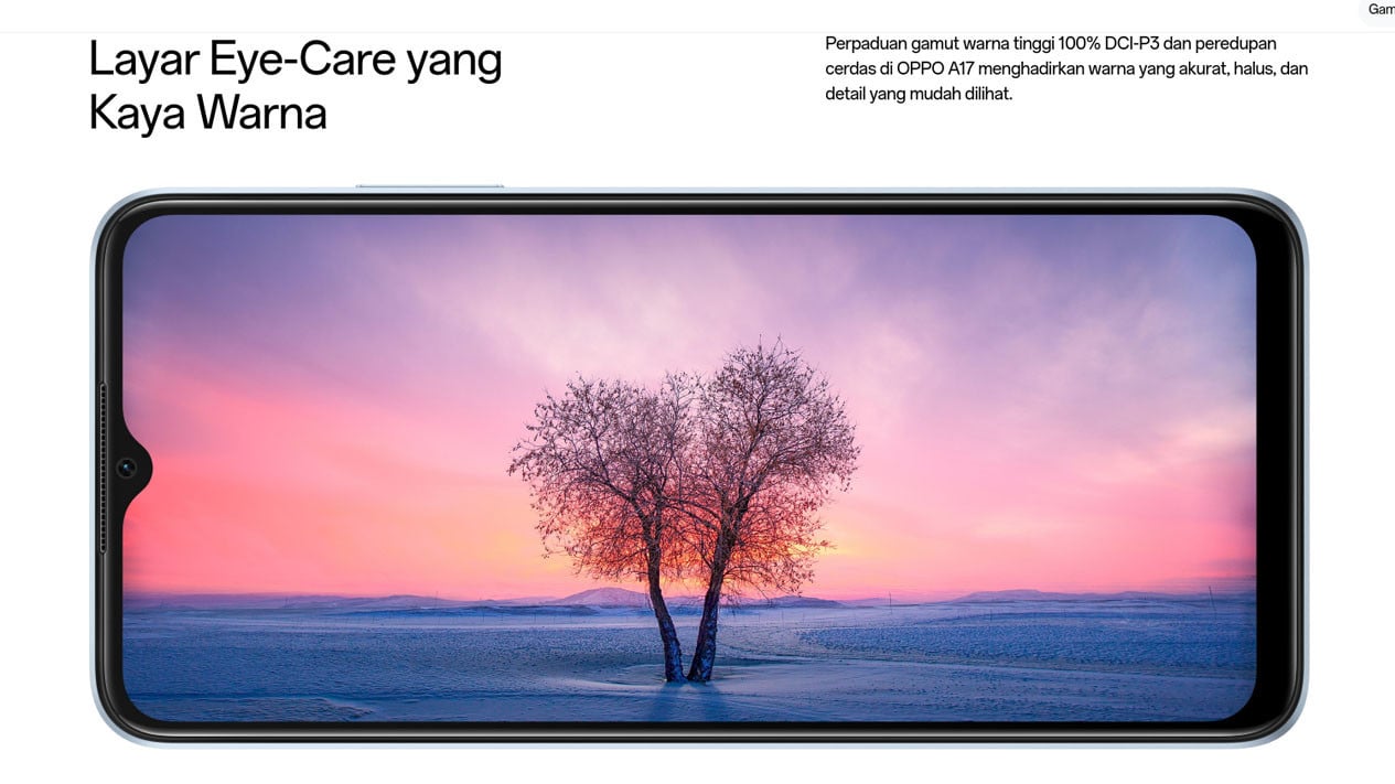 Spesifikasi OPPO A17 Mumpuni dan Kamera Berkualitas Tinggi, Performa Andal dan Baterai Tahan Lama, Fitur Pendukung Lainnya, Pilihan Warna dan Harga OPPO A17