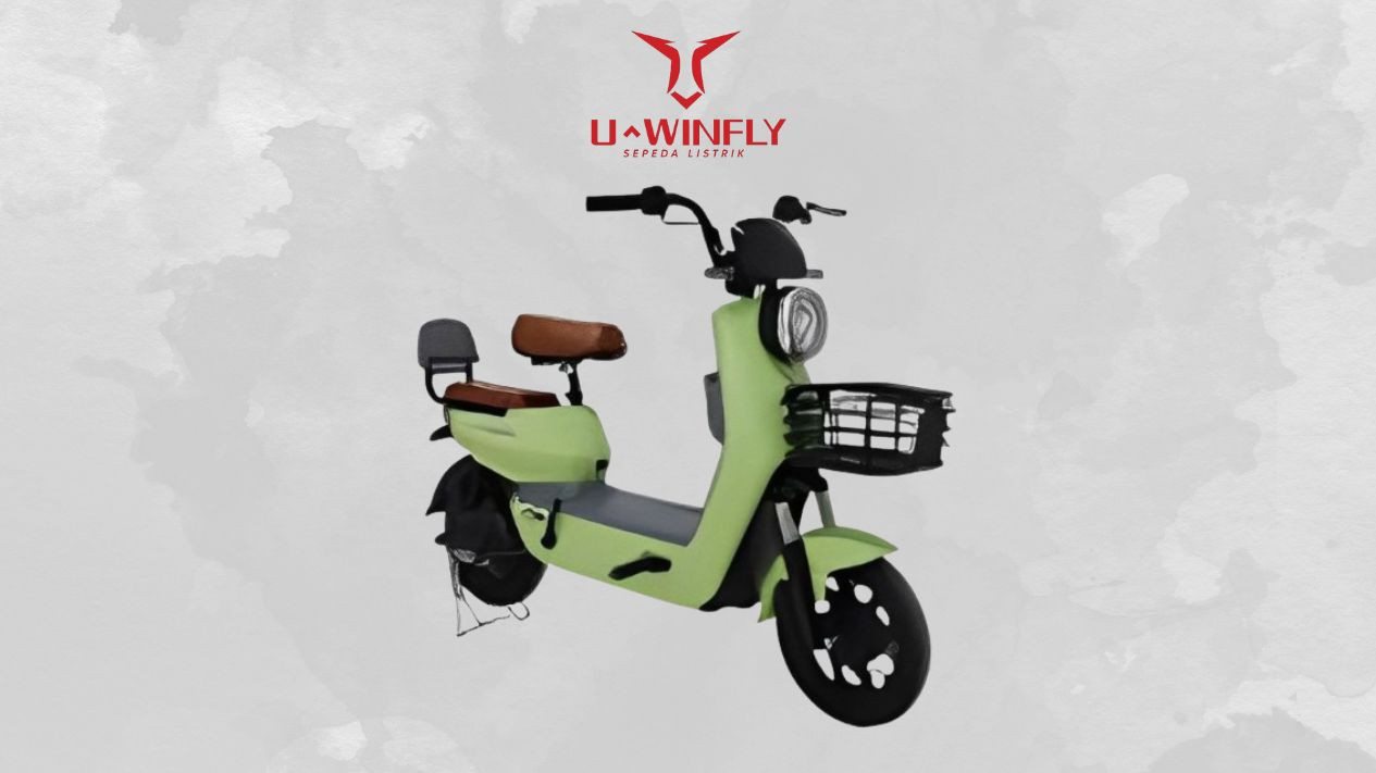 Uwinfly DragonFly D7S, 1. Uwinfly DragonFly D7S, 2. SELIS Emoped Mandalika, 3. Xiaomi HIMO Z20, 4. Exotic ILLUTION, 5. Viar Akasha 3, 6. Genio Easton S1, 7. VOXA Liberty, 8. Goda Golden Tiger 147D, 9. United Dresden, 10. Electric Bike ION FIVE