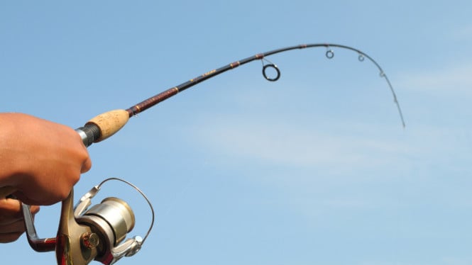 Daftar 10 Joran Pancing Raja Strike Terbaik di 2024, Bikin Ikan Auto Nempel!, TaffSPORT , Genesis TRX GTR602 , Maguro EXTREME VIPER 180 , Sougayilang 2 Section , Doido Manta Fiber Solid , Jingjie Pro , Spinning Blood Weepro , Leo Fiber Telescopic , Kenzi Coral 150 Cm , Tegek Obama Ebola 