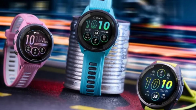 Daftar Harga Jam Tangan Garmin Di Indonesia, Lengkap Dari Paling Murah hingga Paling Mahal!, Garmin Approach Series , Garmin Forerunner Series , Garmin Instinct Series , Garmin Lily Series , Garmin Venu Series , Garmin Vivo Series , 7. Garmin Fenix Series, Garmin Fenix Series 