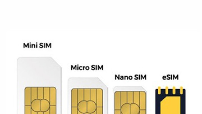 Cek HP Kamu Sudah Support eSIM atau Belum? Ini Cara Lengkapnya di Android dan iPhone, Apa Itu eSIM dan Apa Keunggulannya?, eSIM: SIM Digital yang Tertanam di Perangkat, Keunggulan eSIM Dibandingkan SIM Fisik, Pentingnya Mengetahui Dukungan eSIM pada Smartphone, 1. Cara Cek HP Support eSIM di iPhone, 2. Cara Cek HP Support eSIM di Android, 3. Cek Dukungan eSIM Lewat Informasi Spesifikasi Resmi, Tips Tambahan Sebelum Beralih ke eSIM, Kesimpulan: Cek Dukungan eSIM Penting Sebelum Migrasi