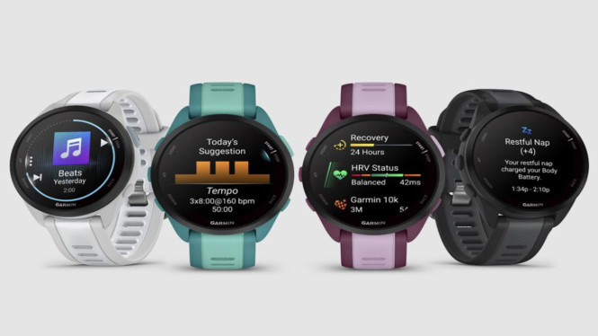 Garmin Forerunner 165, Untuk Pemula: Nyaman, Ringan, dan Terjangkau, Untuk Pengguna Menengah: Siap Jelajahi Alam Bebas, Untuk Profesional: Fitur Lengkap, Ketahanan Maksimal, Bonus: Untuk Para Penyelam, Tips Memilih Jam Garmin Sesuai Kebutuhan