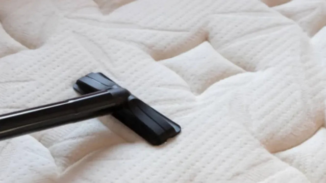 Trik Ampuh Hilangkan Noda Membandel di Springbed, Praktis dan Efektif Banget!, Penyebab Umum Noda Membandel di Springbed, Langkah-Langkah Membersihkan Noda Membandel di Springbed, Tips Tambahan untuk Merawat Springbed, Keuntungan Membersihkan Springbed Secara Teratur, Kesimpulan: Springbed Bersih, Tidur Lebih Nyaman