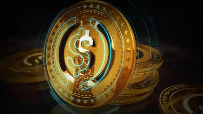 Langkah Revolusioner: Bursa Kripto Pertama di Indonesia Melakukan IPO pada 2025, Detail IPO COIN: Target Dana Segar Hingga Rp231 Miliar, Profil PT Indokripto Koin Semesta Tbk (COIN), Manfaat IPO bagi Industri Aset Kripto di Indonesia, Tantangan yang Harus Diwaspadai, Kesimpulan: Era Baru untuk Industri Aset Kripto