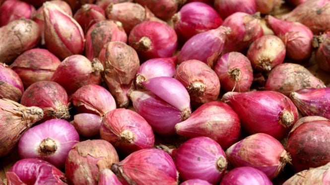 Ternyata, Bawang Merah Lebih dari Sekadar Bumbu! Simak 6 Manfaatnya untuk Kesehatan Tubuh, Manfaat Pertama: Penurun Alami Kadar Gula Darah, Manfaat Kedua: Pelindung Jantung yang Efektif, Manfaat Ketiga: Pencegah Perkembangan Kanker, Manfaat Keempat: Penguat Sistem Imun yang Andal, Manfaat Kelima: Penyehat Sistem Pencernaan, Manfaat Keenam: Penenang Otak dan Pengurang Stres, Kesimpulan: Mengintegrasikan Bawang Merah dalam Pola Hidup Sehat