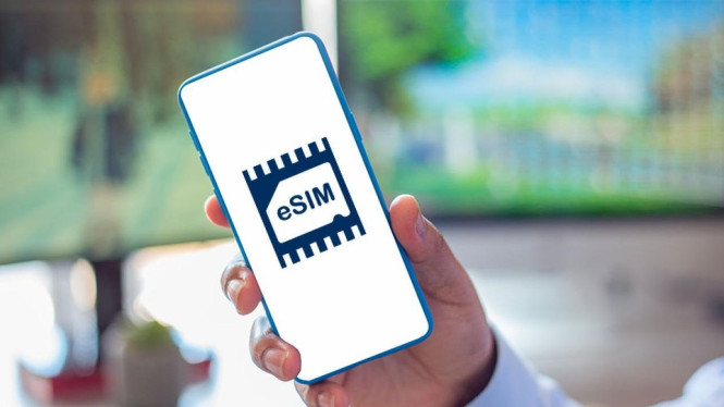 Cara Mudah Migrasi e-SIM Telkomsel Online, Apa Itu Migrasi e-SIM Telkomsel?, Syarat dan Persiapan Sebelum Migrasi e-SIM, Langkah-Langkah Cara Migrasi e-SIM Telkomsel Online, Tips Agar Migrasi Berhasil