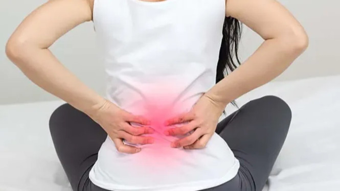 Daftar Lengkap Tanda Kanker Ginjal di Punggung dan Urine, Cegah Sebelum Terlambat, Tanda-Tanda Kanker Ginjal yang Harus Diketahui  Gejala Kanker Ginjal yang Sering Terabaikan, Perubahan Urine yang Perlu Diwaspadai, Penyebab Kanker Ginjal: Faktor Risiko yang Meningkatkan Kemungkinan Terjadi, Cara Mencegah Kanker Ginjal: Langkah-Langkah yang Efektif, Kesimpulan: Waspadai Gejala dan Segera Konsultasikan ke Dokter