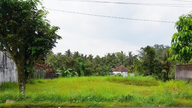 Ingin Hindari Tanah Disita Negara? Ikuti Tips dari BPN Ini Sekarang Juga!, Kenapa Tanah Nganggur Bisa Disita Negara?, Tips dari BPN untuk Hindari Risiko Penyitaan Tanah, 1. Pasang Pagar dan Buat Tanda Batas untuk Tanah SHM, 2. Gunakan Tanah Sesuai Peruntukannya (HGB/HGU), 3. Hindari Membiarkan Tanah Menganggur, 4. Pastikan Kepemilikan Terdaftar dan Terlindungi Secara Hukum, Proses Penertiban Tanah Terlantar, Kesimpulan: