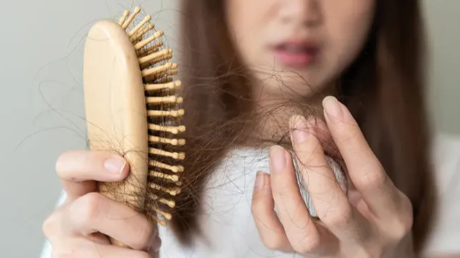 Ingin Rambut Lebat? Coba 7 Minyak Esensial Ini yang Ampuh Atasi Rontok!, 1. Minyak Teh Hijau, 2. Minyak Rosemary, 3. Minyak Geranium, 4. Minyak Jarak, 5. Minyak Peppermint, 6. Minyak Esensial Ylang Ylang, 7. Minyak Esensial Cedarwood