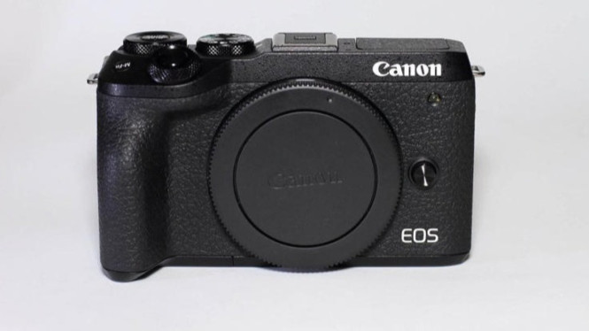 Inilah 11 Kamera Mirrorless Terbaik 2024 untuk Pemula, Murah Tapi Keren!, 1. Fujifilm X-T100, 2. Canon EOS M50, 3. Sony Alpha 5100, 4. Olympus OM-D E-M10 Mark III, 5. Panasonic Lumix G85, 6. Canon EOS M6 Mark II, 7. Sony Alpha 7 III, 8. Fujifilm X-E3, 9. Panasonic Lumix DMC-GH4, 10. Nikon 1 J5, 11. Panasonic Lumix DC-GF9