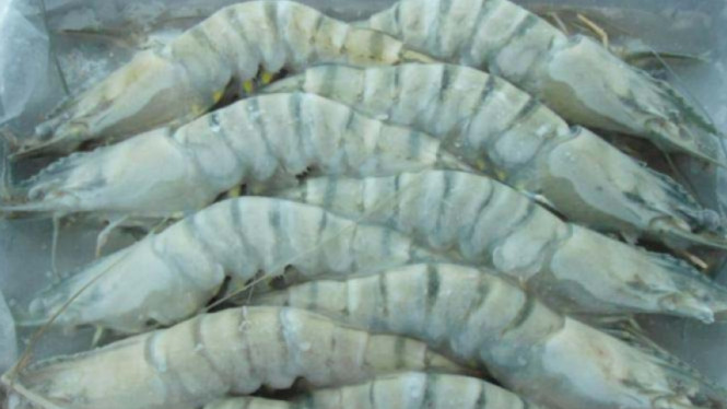 Asal Muasal Kontaminasi Cesium-137 di Cikande: Semua Dimulai dari Udang Beku!, Awal Temuan: Pengembalian Udang Beku oleh AS, Penyebab Kontaminasi: Pabrik Baja di Kawasan Cikande, Risiko Kesehatan Akibat Paparan Cs-137, Langkah-Langkah Dekontaminasi, Kesimpulan