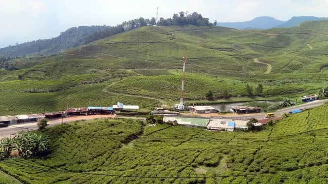 4 Rute Alternatif ke Puncak Tanpa Kena Ganjil Genap dan Macet, 1. Jalur Bukit Pelangi (Sentul – Babakan Madang – Pasir Angin – Puncak), 2. Jalur Katulampa – Simpang Gadog – Puncak, 3. Jalur Cileungsi – Jonggol – Cariu – Puncak, 4. Jalur Cilember / Cibeureum – Puncak