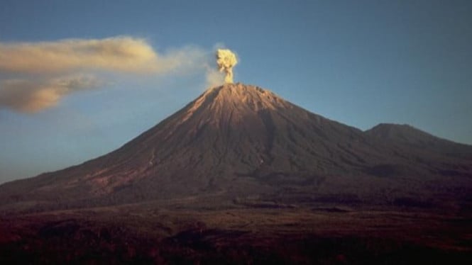 semeru, Laporan Lapangan oleh Liswanto, Data Gempa Volkanik dalam 24 Jam Terakhir, Rekomendasi dari Pusat Vulkanologi dan Mitigasi Bencana Geologi (PVMBG), Kesimpulan