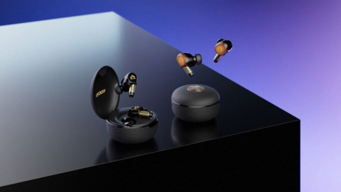 JVC Victor WOOD Master: Earphone Kayu Hibrida