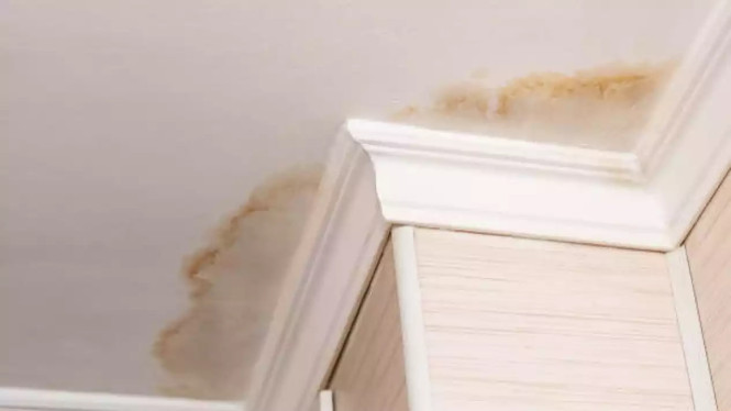 Cara Membersihkan Plafon Kuning Akibat Bocor agar Rumah Terlihat Rapi Lagi, Cari Sumber Kebocoran Lebih Dulu, Periksa Toilet dan Saluran Air, Bersihkan Noda Kuning pada Plafon, Gunakan Cat Primer sebagai Lapisan Dasar, Tutup dengan Cat Plafon, Kenapa Plafon Kuning Tidak Boleh Dibiarkan?
