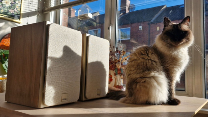 Review Dali Sonik 1: Speaker Bookshelf Performa Tinggi 2026, Keunggulan Desain dan Spesifikasi Dali Sonik 1, Kualitas Audio dan Performa di Lapangan, Harga dan Persaingan di Pasar Hi-Fi, Dampak Dali Sonik 1 bagi Pecinta Audio