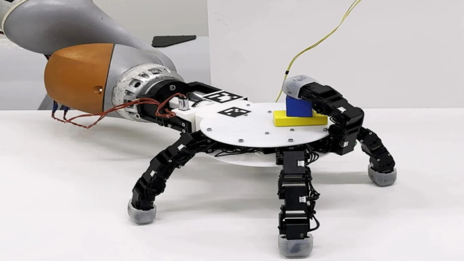 Inovasi Tangan Robot Modular EPFL: Bisa Merangkak Sendiri!