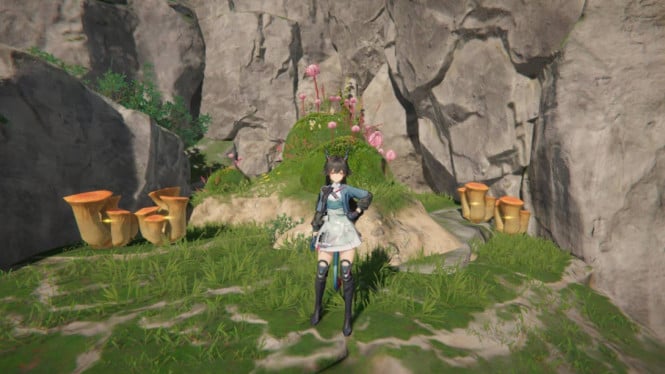 Panduan Lengkap Red Bolete Arknights Endfield: Cara Akses &amp; Promo, Memahami Fungsi Kunci Red Bolete, Origin Lodespring: Lokasi Eksklusif Red Bolete, Optimalisasi Karakter: Panduan Penggunaan Red Bolete, Analisis Kebutuhan Material Lanjutan Setelah Promosi II