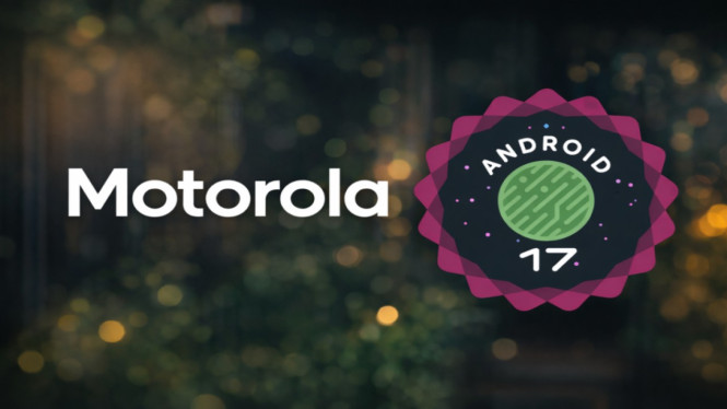 Android 17 Beta Hadir di Ponsel Motorola