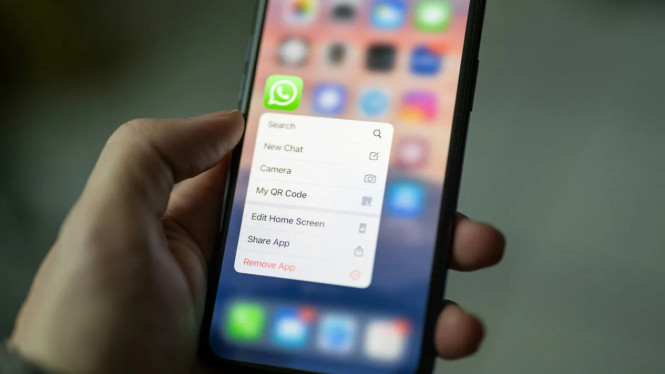Fitur Baru WhatsApp Anak: Orang Tua Kini Punya Kendali Penuh