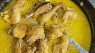 Ilustrasi opor ayam, Opor: Kuah Santan Lembut Khas Lebaran, Ilustrasi opor ayam, Gulai: Rempah Kaya dengan Cita Rasa Kuat, Ilustrasi gulai tunjang khas padang, Kare: Sentuhan India dalam Kuliner Nusantara, Perbedaan Utama dalam Bumbu dan Penyajian, Variasi Regional dan Bahan