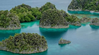 Raja Ampat, Sekilas tentang Raja Ampat, 1. Kekayaan Biodiversitas Laut, Pemandangan bawah laut Raja Ampat, 2. Keindahan Lanskap dan Pulau-Pulau, 3. Keanekaragaman Hayati Darat, 4. Warisan Budaya sebagai Pelengkap Kekayaan Alam, 5. Potensi Wisata Alam, Raja Ampat, Ancaman terhadap Kekayaan Alam, Tips Berwisata ke Raja Ampat