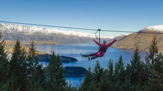 Ziptrek Ecotours