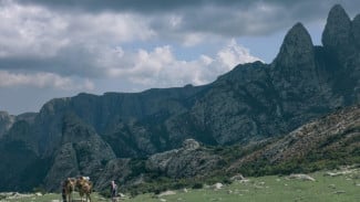 Pulau Socotra, Keunikan Ekosistem Pulau Socotra, Pulau Socotra, Misteri Dajjal dan Signifikansi Keagamaan, Kondisi Terkini dan Akses Wisata, Pulau Socotra, Pengalaman Wisata dan Budaya Lokal, Tantangan dan Daya Tarik Wisata Ekstrem