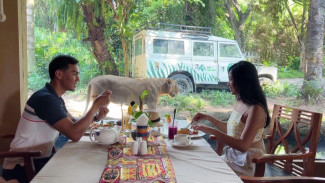 Mara River Safari Lodge Bali, Fasilitas Unggulan Mara River Safari Lodge, Mara River Safari Lodge Bali, Keunikan Tidur Dekat Zebra dan Badak, Harga Menginap di Mara River Safari Lodge, Aktivitas dan Pengalaman Lain, Mara River Safari Lodge Bali