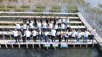 Penanaman Mangrove di PIK