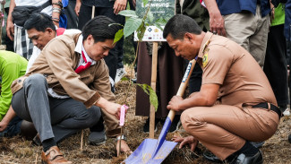 Eco-Volunteering