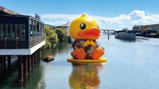 B.Duck 20th Playful Carnival