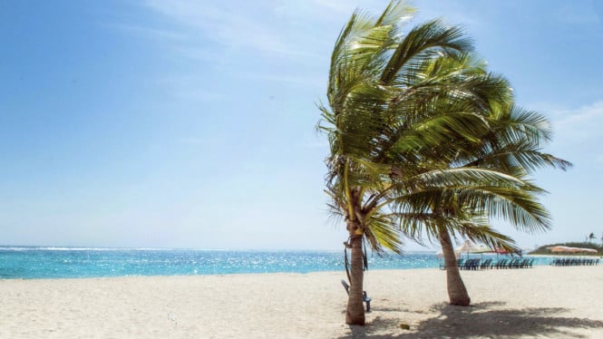 Ilustrasi Pantai, Pantai Losari, Ikon Wisata Makassar, Pantai Akkarena, Pesona Dermaga dan Sunset, Pantai Tanjung Bira, Surga Pasir Putih di Bulukumba, Pulau Samalona, Surga Snorkeling di Tengah Laut, Pantai Bosowa, Keindahan yang Mudah Dijangkau, Pantai Layar Putih, Hidden Gem Dekat Losari
