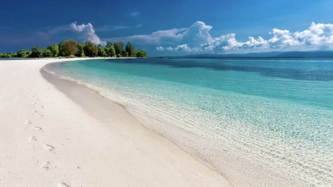 Ilustrasi pantai, Metode 1: Penyulingan Sederhana, Metode 2: Osmosis Balik Skala Kecil, Metode 3: Filtrasi dan Penyaringan Kimia, Tips untuk Hasil Optimal, Manfaat Desalinasi Rumahan