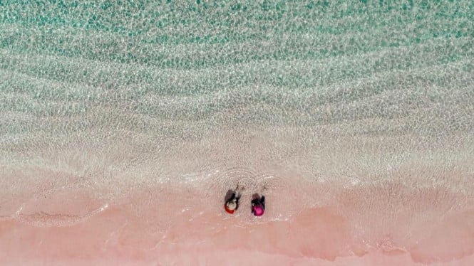 Pantai Pink, Pasir Putih: Keindahan Klasik Pantai Tropis, Pasir Hitam: Pesona Vulkanik yang Misterius, Pasir Pink: Keajaiban Biologis yang Langka, Pasir Cokelat: Warna Alami dari Oksidasi Besi, Faktor Penyebab Keragaman Warna Pasir, Destinasi Pantai Lain yang Wajib Dikunjungi